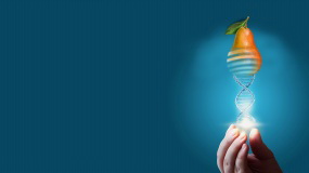 另类创意科技背景图片